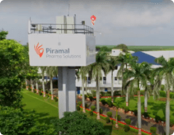 Piramal 1991